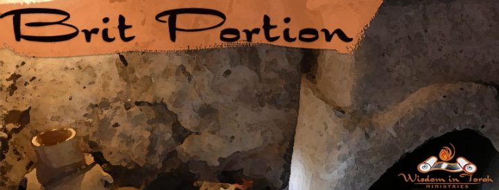 Brit-Portion-New-Website-720x275